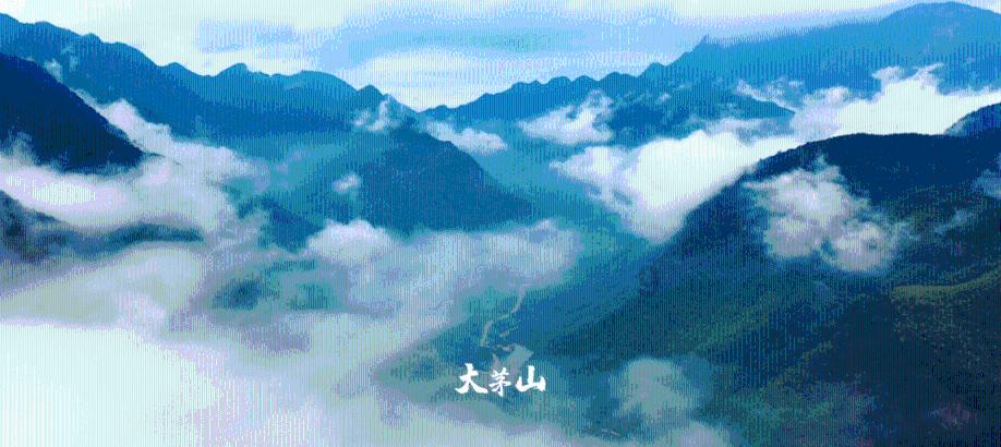 迪吉宫逃脱